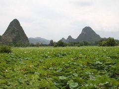 -钟山水墨田园