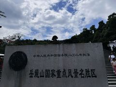 -茶颜悦色(岳麓山顶店)