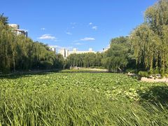 -三忘湖 SWANSEEN(柳荫公园店)