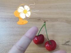 -智韵少儿丨围棋 硬笔书法练字(亚乐城校区)