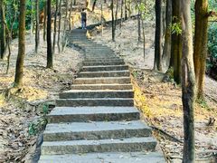 -火炉山森林公园