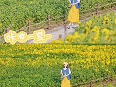 -苏州湾体育公园