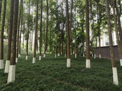 -温江公园
