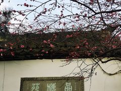 -杭州植物园