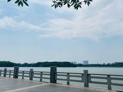 -海珠湖公园