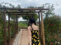 -玫瑰庄园·自助烧烤·烤全羊·团建拓展(龙泉山店)