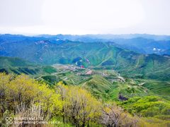-白草畔自然风景区