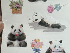 -轩客会(熊猫书店)