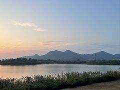 -苏州太湖国家湿地公园