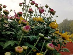 -共青国家森林公园-售票处