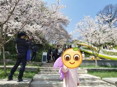-杭州少年儿童公园