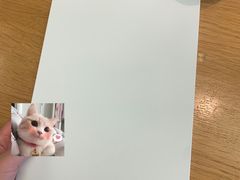 -Apple零售店(深圳益田假日广场店)