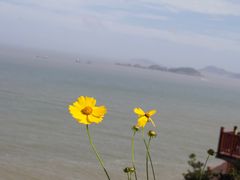 -温岭石塘海边
