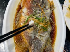 -小海豚•老字号海鲜餐厅(天涯店)