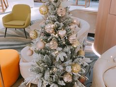 -大洋晶典(东街店)