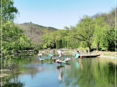 -棒棰岛宾馆景区