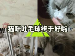 -科道动物医院·急重症中心(万达院)