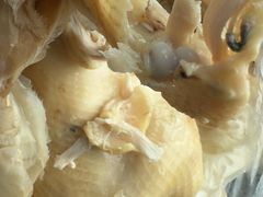 -阿侬盐焗鸡(清澜店)