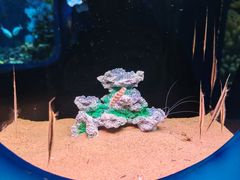 -欢乐海岸海洋奇梦馆