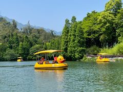 -星湖旅游景区七星岩