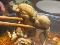 牛蛙-老天桥蛙炉火锅(姑苏总店)