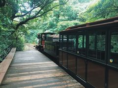 -济州森林小火车生态公园