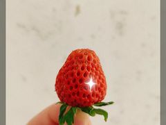 -杭州大厦LSE城市生活超市(杭州大厦店)