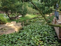 -秀丽东方