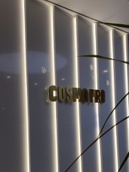 -COSMO PRO造型