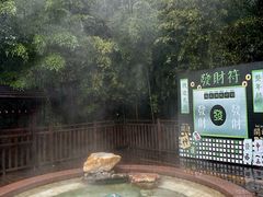 -天目湖涵田半山温泉