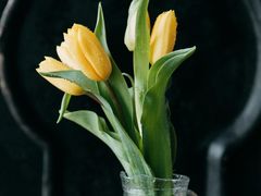 -神龟馅饼(古陌路店)