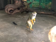 -西安秦岭野生动物园