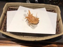 -是山居