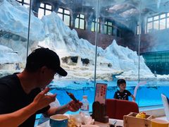 -帝企鹅自助餐厅•儿童岛•真企鹅(长隆企鹅酒店)