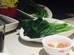 茼蒿-海底捞火锅(泉城路店)