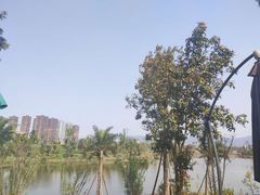 -枫香湖儿童公园