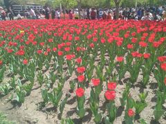 -长春公园(普阳街道)