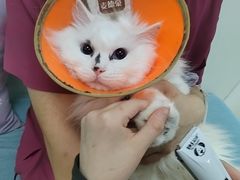 -美联众合动物医院·24h京西诊疗中心