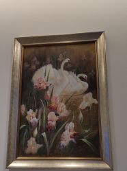 -天津伊美尔医疗整形美容专科医院