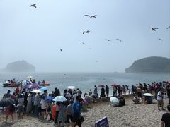 -棒棰岛宾馆景区