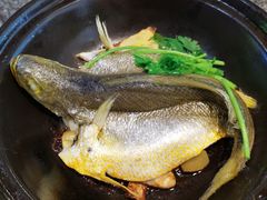 黄花鱼-白鹭·江南宴(茂悦东荟城店)