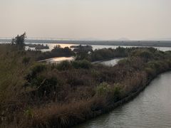 -漩门湾国家湿地公园