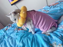 -纳吉亚猫专科动物医院博雅分院