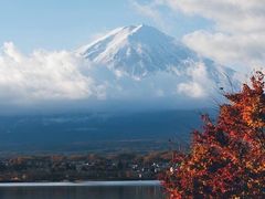 -五谷丰登农家院·地道胶东菜·海鲜烧烤(威海店)