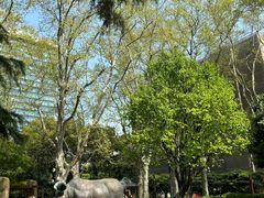 -静安公园(静安寺街道)