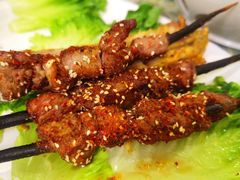 -新疆红柳花餐厅(新洲店)