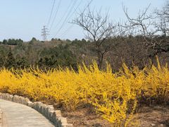 -白水寺森林公园