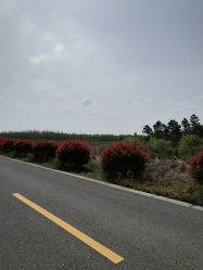 -水八仙生态园