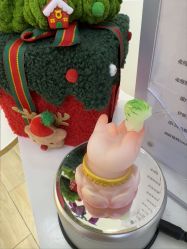 -JUVA欧华医美连锁