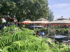 -蘇河湾·新鲁菜·泰山宴(泰山店)